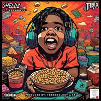 Trix (feat. Termanology) - Single - Shellz
