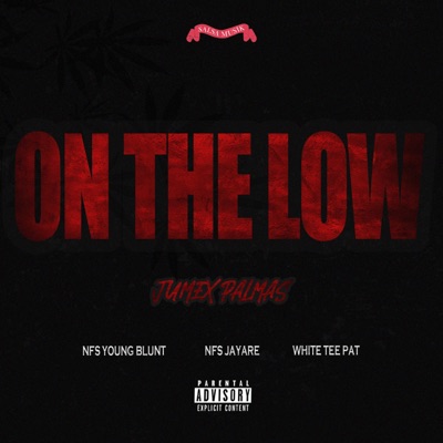 On the Low (feat. NFS Young Blunt, NFS JayAre & White Tee Pat) - Single