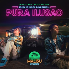 Pura Ilusão BIN, Mc Hariel & Malibu