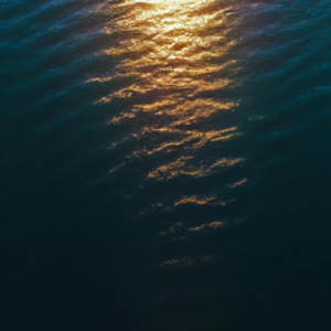 We Had To Shed Our Skins When We Saw the Other Sun - Single