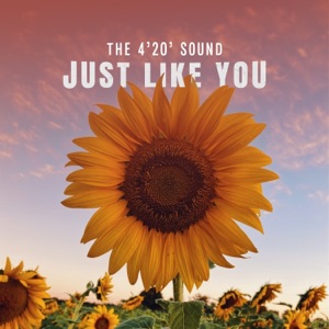 Just Like You