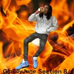 Section 8 - Single