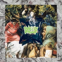 Smelly Proof Bag - Single - Mindz Malverde & Graphwize