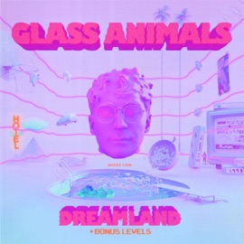 Heat Waves (Sonny Fodera Remix) Glass Animals & Sonny Fodera