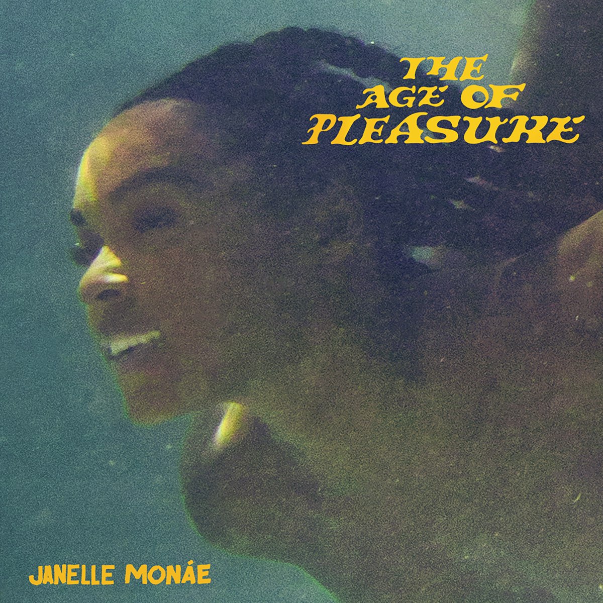 ‎The Age of Pleasure - Janelle Monáe的專輯 - Apple Music