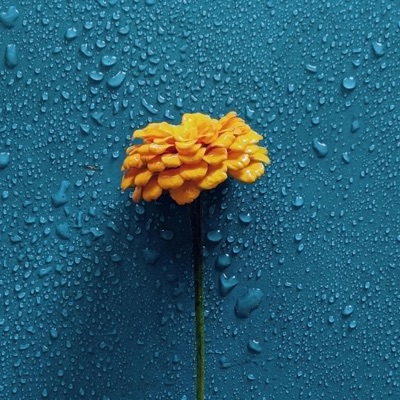 kiitos (feat. Roger_kangaroo & Spuk) - Single