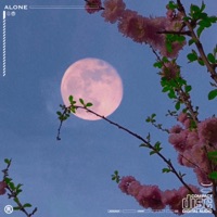 Alone - Single - Sol