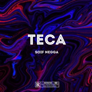 Teca