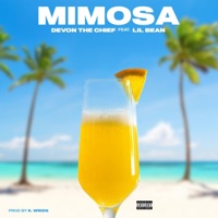 Mimosa - Single - Devon the Chief & Lil Bean