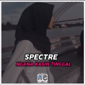 Dj Spectre X Ngana Kasih Tinggal (Viral Di Tiktok) artwork