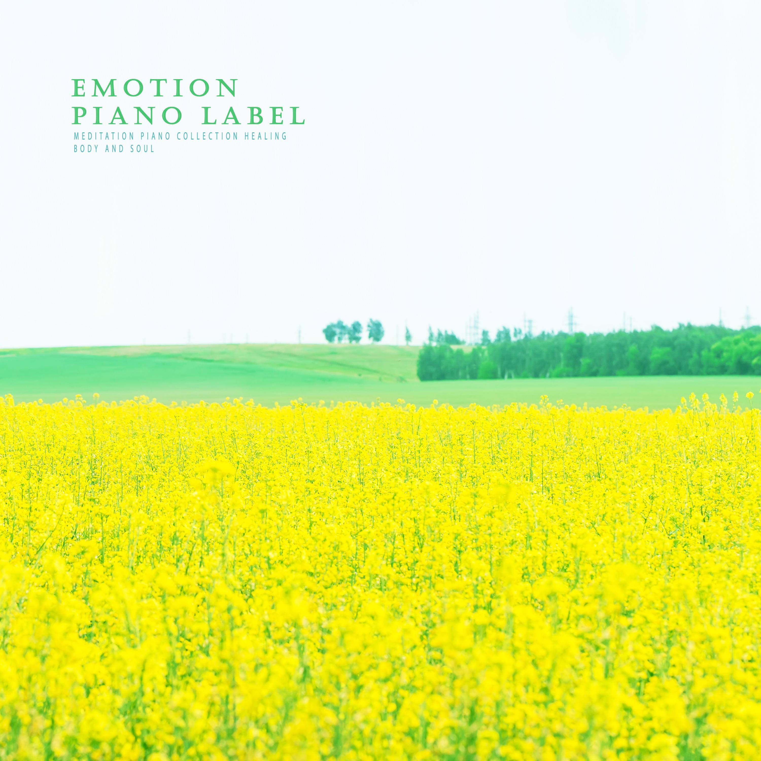 Meditation Piano Collection Healing Body And Soul