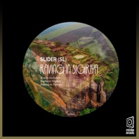 Euphoric Nights - Single - SLIDER