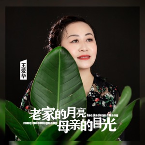 老家的月亮母亲的目光 - Single