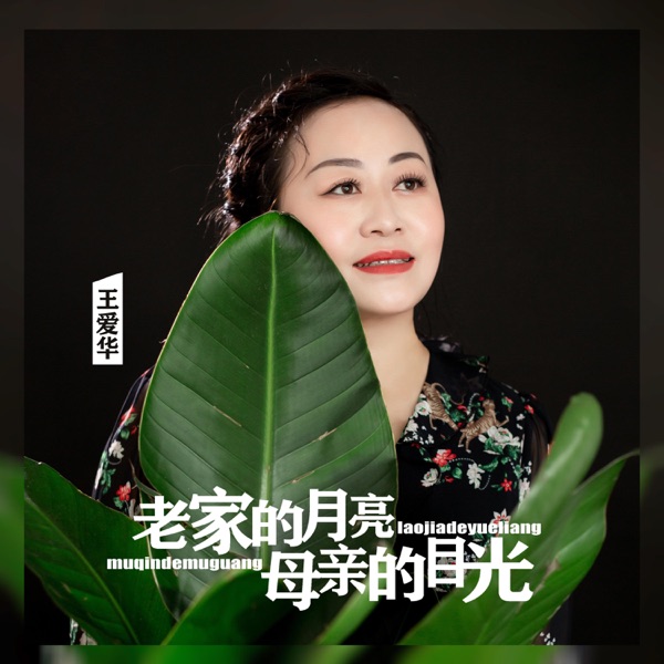 老家的月亮母亲的目光 - Single