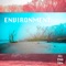 Environment - Illyngton lyrics