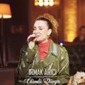 Olumlu Dunya