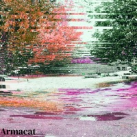 New Digs - Single - Arma