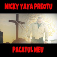 Pacatul meu - Single - Nicky Yaya Preotu