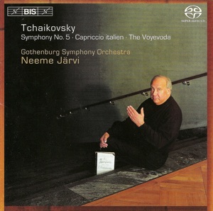 Symphony No. 5 in E Minor, Op. 64, TH 29: II. Andante cantabile, con alcuna licenza