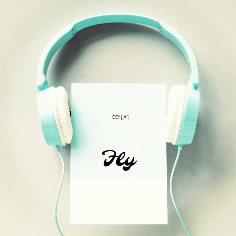 Fly - Single