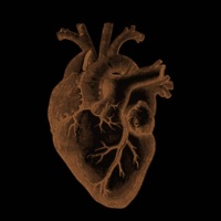 MK (feat. Danny & LLANY) - Single - ILL SOLO