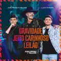 Gravidade