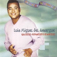 Quiero Amanacer Contigo - Luis Miguel del Amargue