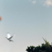 Holy Spirit - Single - nick.