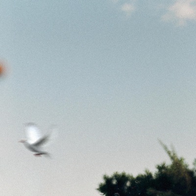 Holy Spirit - Single