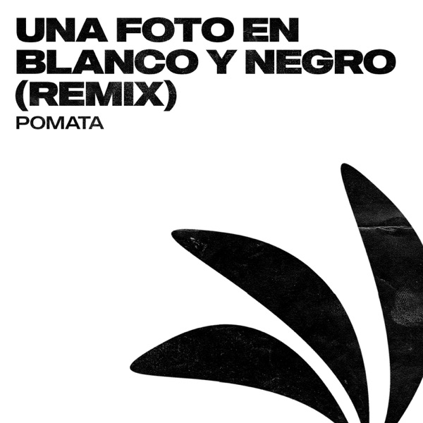 Una Foto en Blanco y Negro (Remix) - Single