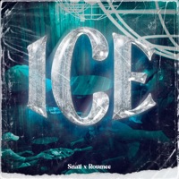 ICE - Single - Snail Lake & Roumee