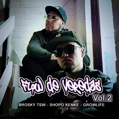 Flow de Veredas, Vol. 2 - EP