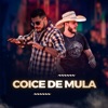 Coice de Mula - Single