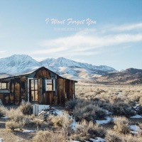 I Won't Forget You (Mexico) - Single - Josiah MacCartney & Jon Caryl