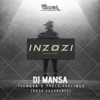 INZOZI (feat. Icenova & Tyzee Feelingz) - Single