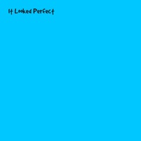 It Looked Perfect - Single - Duarte