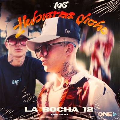Me Hubieras Dicho - Single