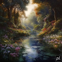 Delicate Nature - Single - Steve Nguyen & Smith Beats