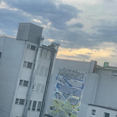 Flava für Raver - Single