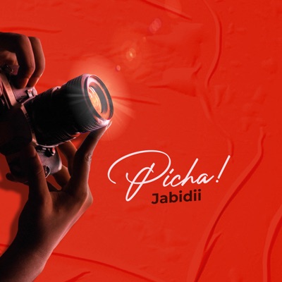Picha - Single