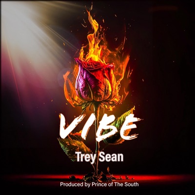 Vibe - Single