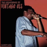 I Just Wanna (feat. D. Michelle, J Cash & DH Grizz) - Single - Elsiris Orion