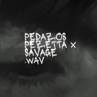 PEDAZOS.wav (feat. Savage_LaSv) - Single