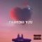 Chasing You - TC Max lyrics