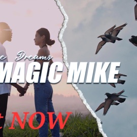 Fake Dreams Moneymagicmike