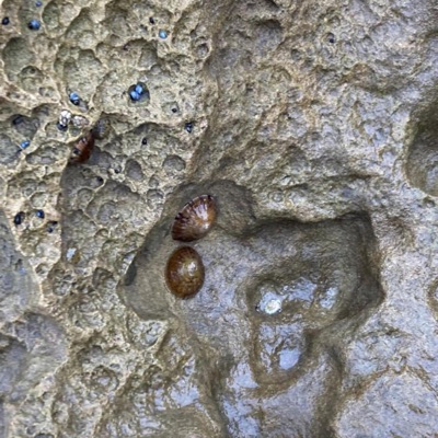 SOMMA (feat. ben clean) [Waned Remix] - Single