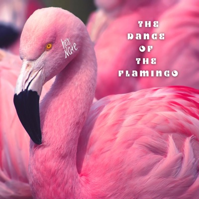 The Dance of the Flamingo - Single