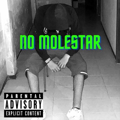 No Molestar - Single
