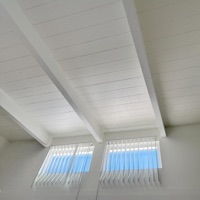 Walls - Single - xona