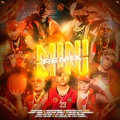 Mini Mini (feat. Jairo Vera, Sayian Jimmy, Balbi El Chamako, Son Gotten, El BAI, Galee Galee, Nysix Music, El Goldo De Las Conec) [Remix] artwork